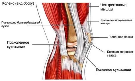 Прикосновение к коленному суставу вызывает боль - причины и лечение